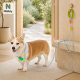 Nibbly PathLoop slip lead in blue with a relaxed dog in a warm organic home setting