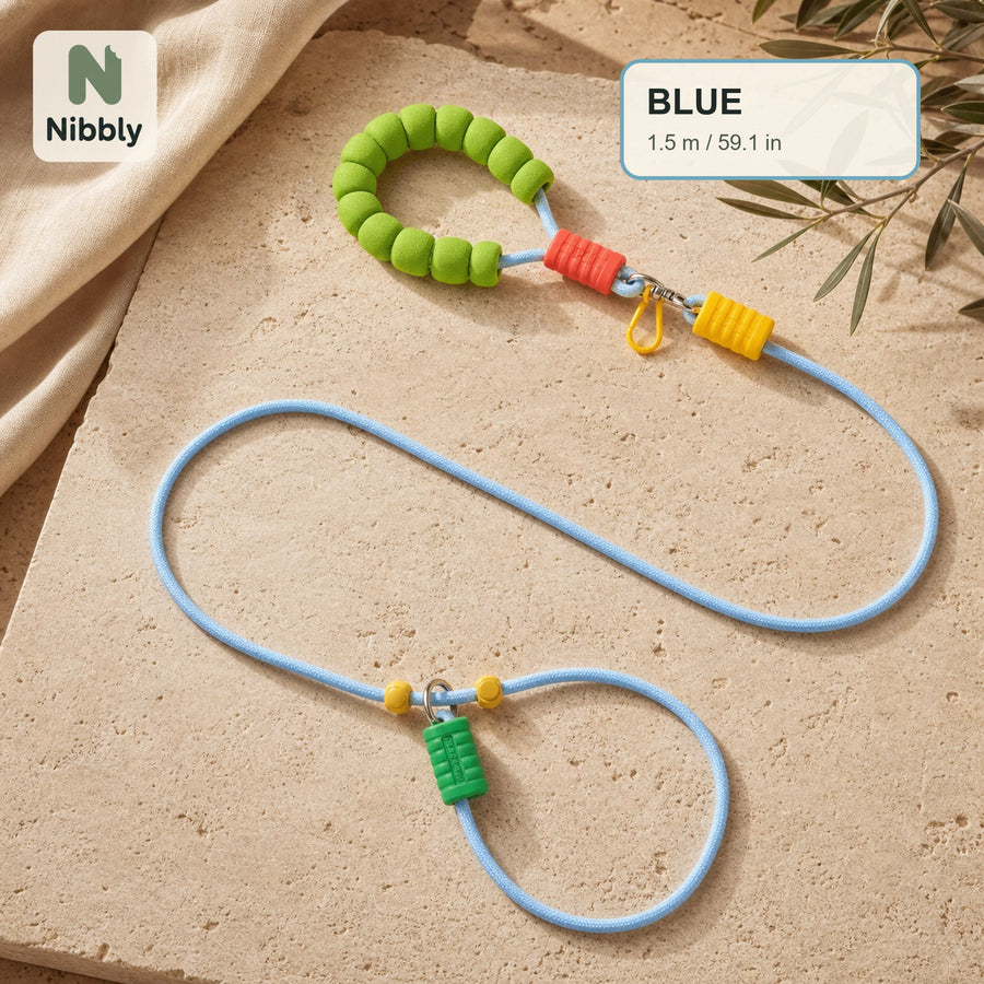 Blue 1.5 m Nibbly PathLoop dog slip lead on warm travertine