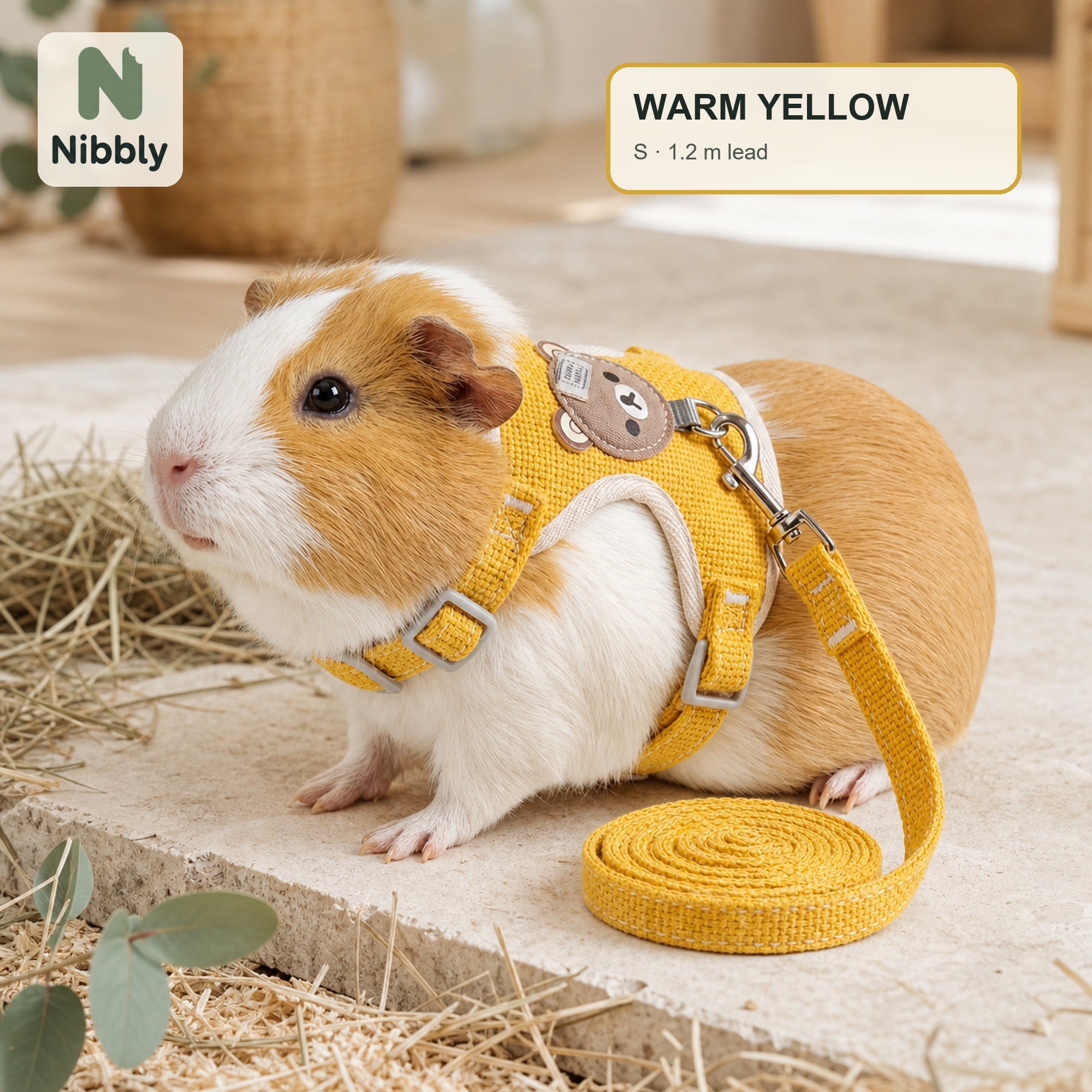 Warm Sun Yellow Nibbly small-pet vest harness and lead worn by a relaxed guinea pig