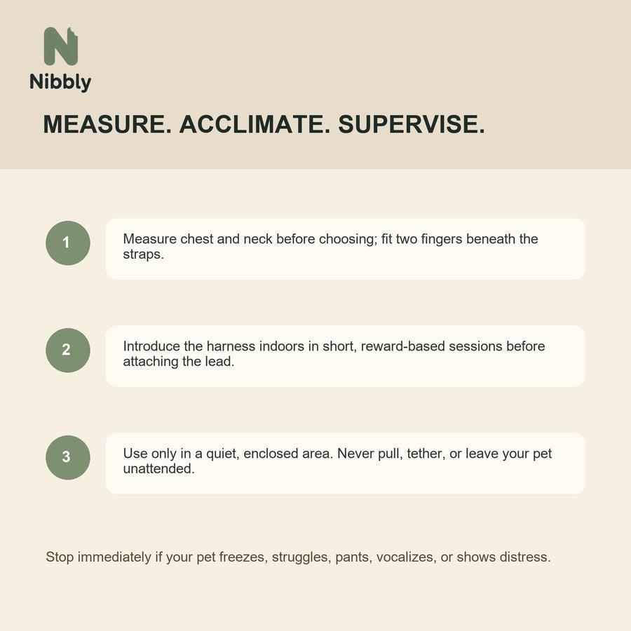 How to measure acclimate and supervise use of the Nibbly small-pet harness