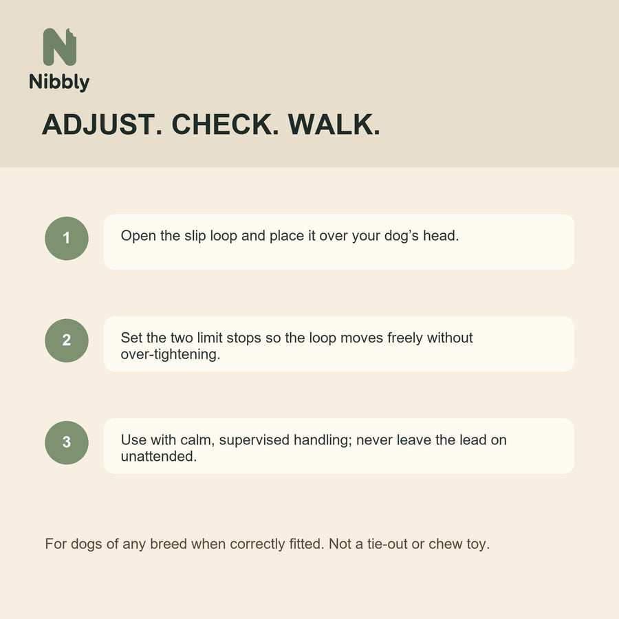 How to fit and use the Nibbly PathLoop dog slip lead safely